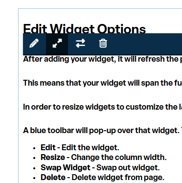 Edit widget options